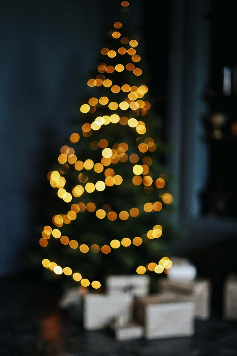plant yellow lights on dark room tree